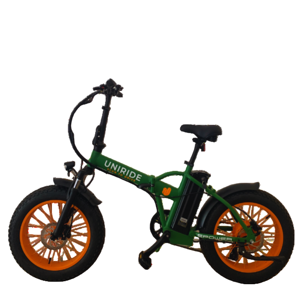 CARGO E-BIKE