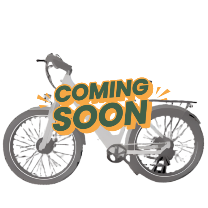 CITY E-BIKE