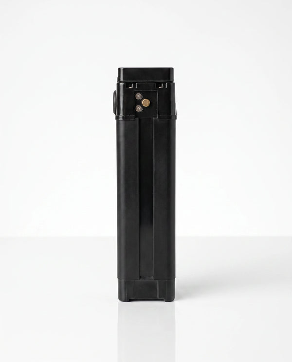 Batteria — 48V 12Ah 576Wh